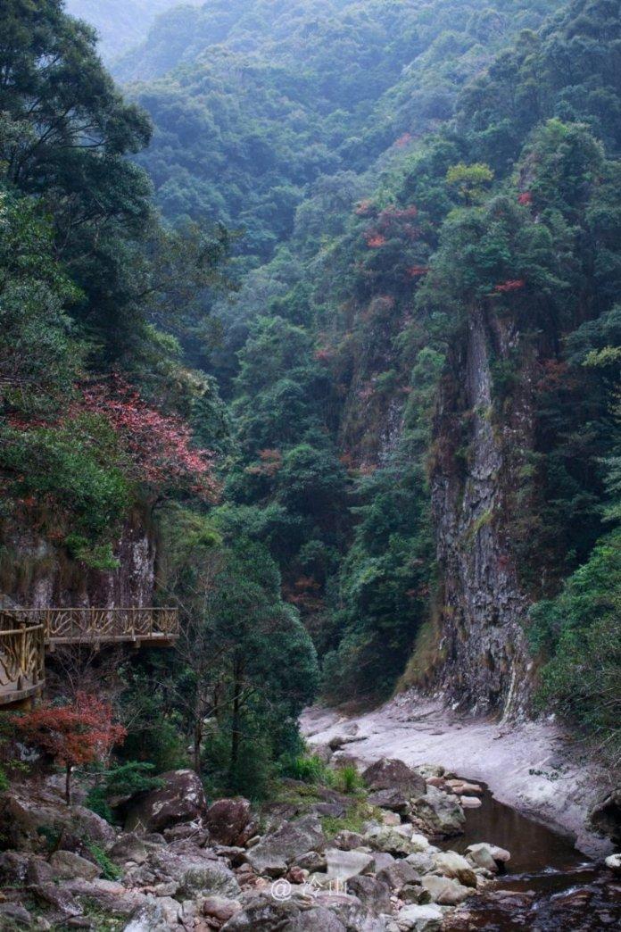 三小只僵尸的游戏时间1